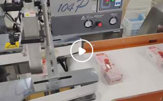 温州市聚兴智能机械糖葫芦自动装盒机